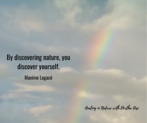 Maxime Lagace quote: "by discovering nature, you discover yourself."