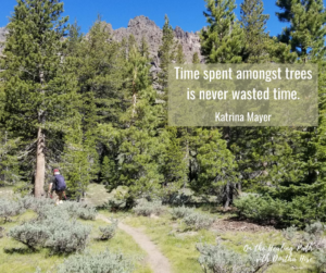 time amongst trees is never wasted time quote